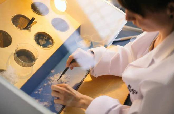 在即这家中国企业打响品质保卫战AG旗舰厅网站羽绒服行业革新(图8)