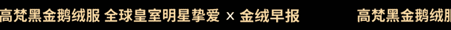 常见策略  2024年四季度轻薄款羽绒服是重点AG旗舰厅平台依据鸭绒价格调整肉鸭投放量已成为(图3)