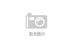 电声器件行业市场调查研究与投资前景分析报